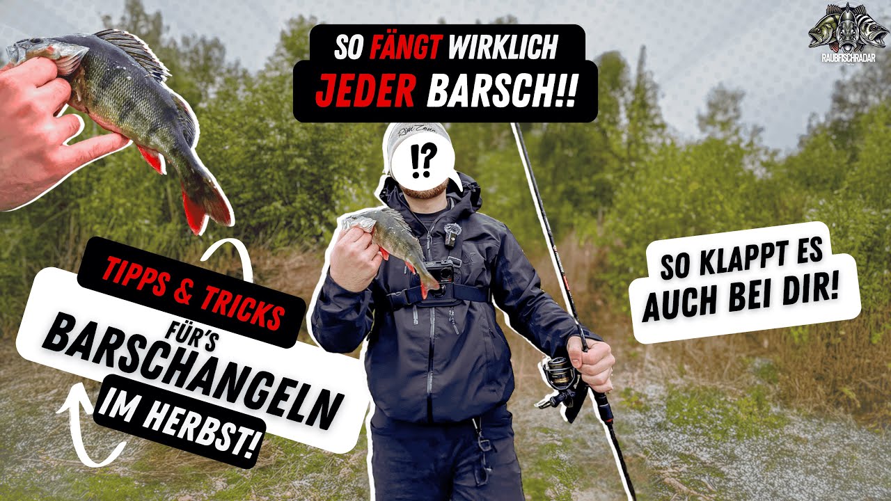 Barsch-Angeln im Herbst 🎣 | Beste Barschk&ouml;der| Barsch im Herbst | Lieblingsk&ouml;der | Nays | Westin