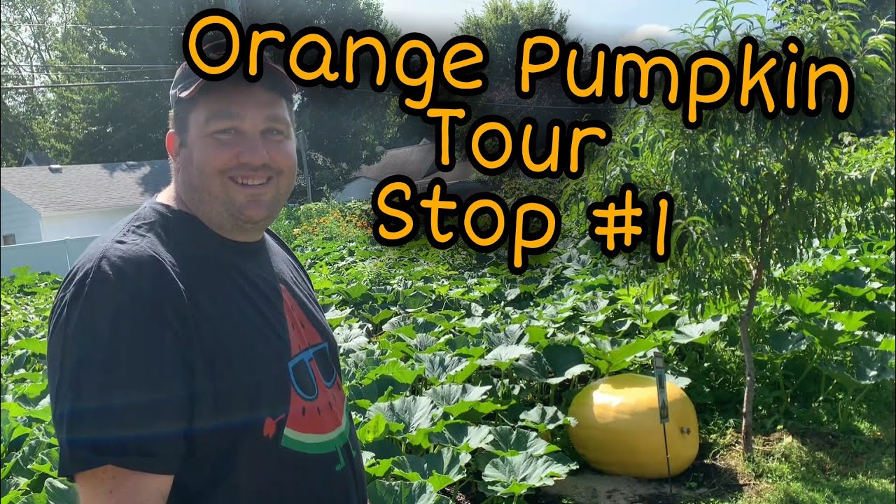 Toledo Garden Tour & Orange Lovers Pumpkins  Watermelons & long Gourds Stop 1
