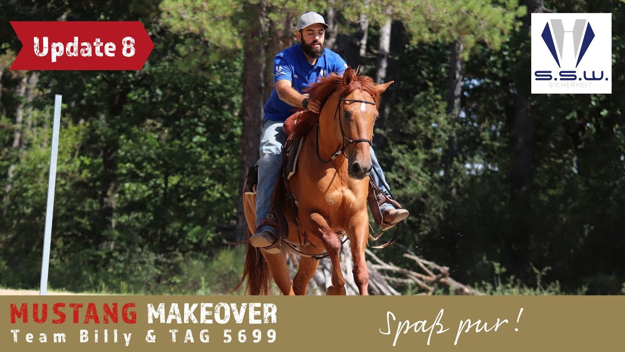 Spaß und Abwechslung im Pferdetraining😍 - Team Billy | MUSTANG MAKEOVER 2023