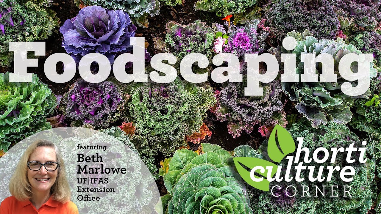 Horticulture Corner: Foodscaping