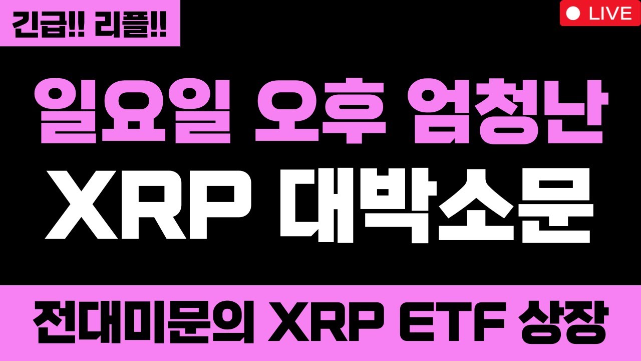 리플 미쳤습니다 일요일 오후 엄청난 XRP 대박소문 캐시우드 아크 인베스트 전대미문의 XRP ETF 상장 XRP 무조건 올라요 #엑스알피 #리플코인 #엑스알피전망