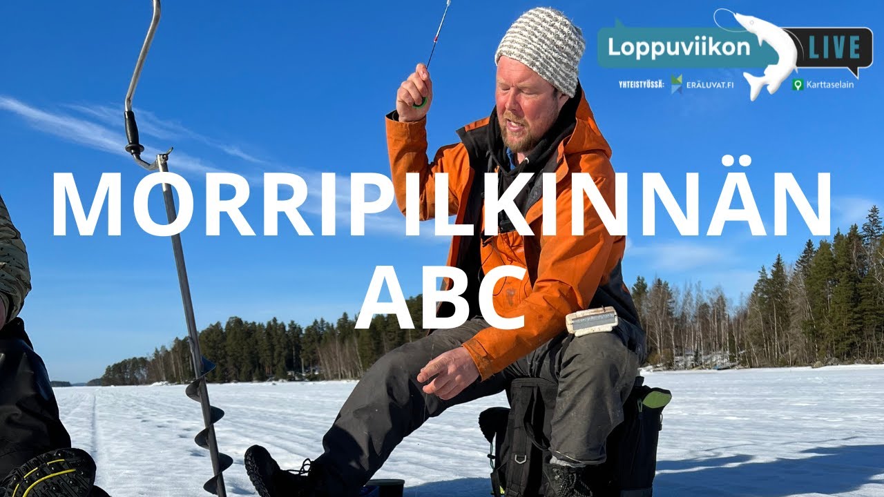 Morripilkinnän ABC | Loppuviikon LivE
