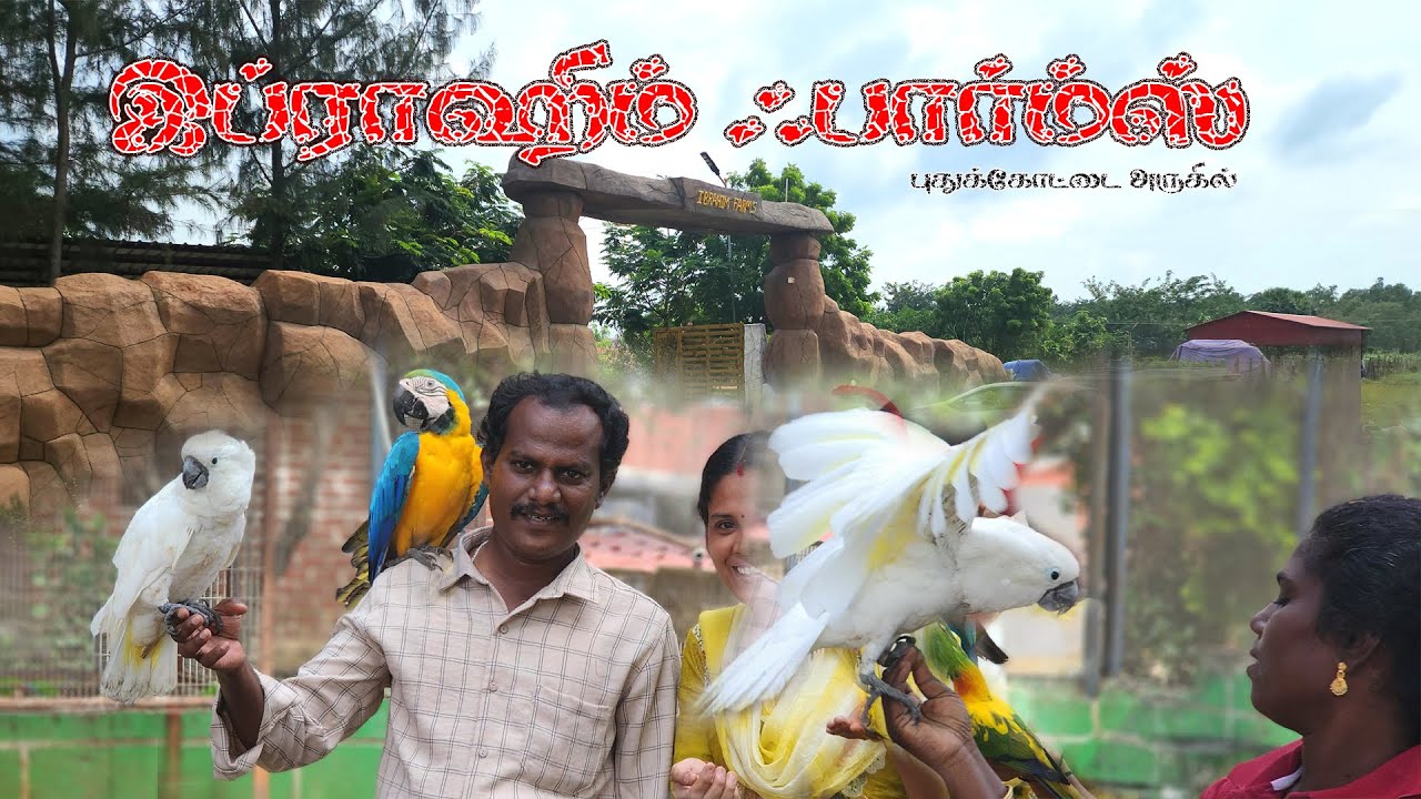 IBRAHIM FARMS | இப்ராஹிம் ஃபார்ம்ஸ் | PUDUKKOTTAI | VillageTamizhan