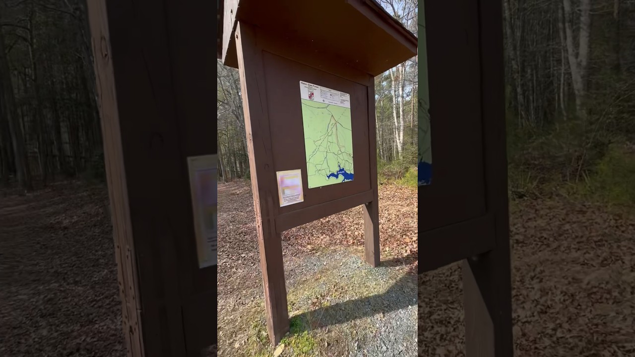 Part 2: Hiking in Southern Maryland: Salem Forest #livinginsouthernmaryland