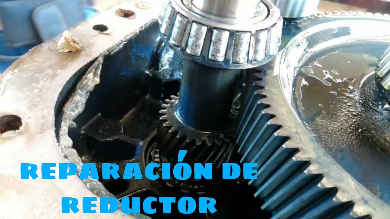 Cambio de baleros y reparación de reductor de velocidad