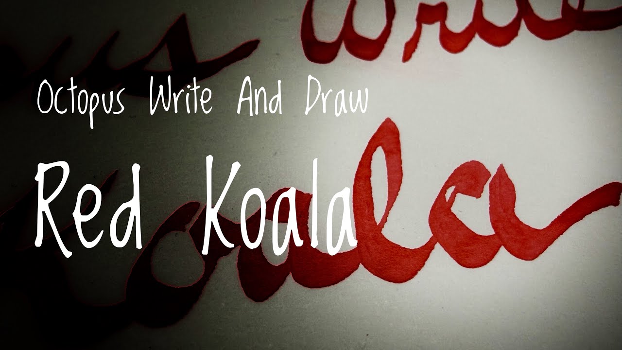 Octopus Write And Draw Red Koala