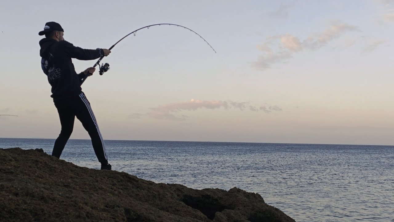 BACORETAS DESDE COSTA A SHOREJIGGING