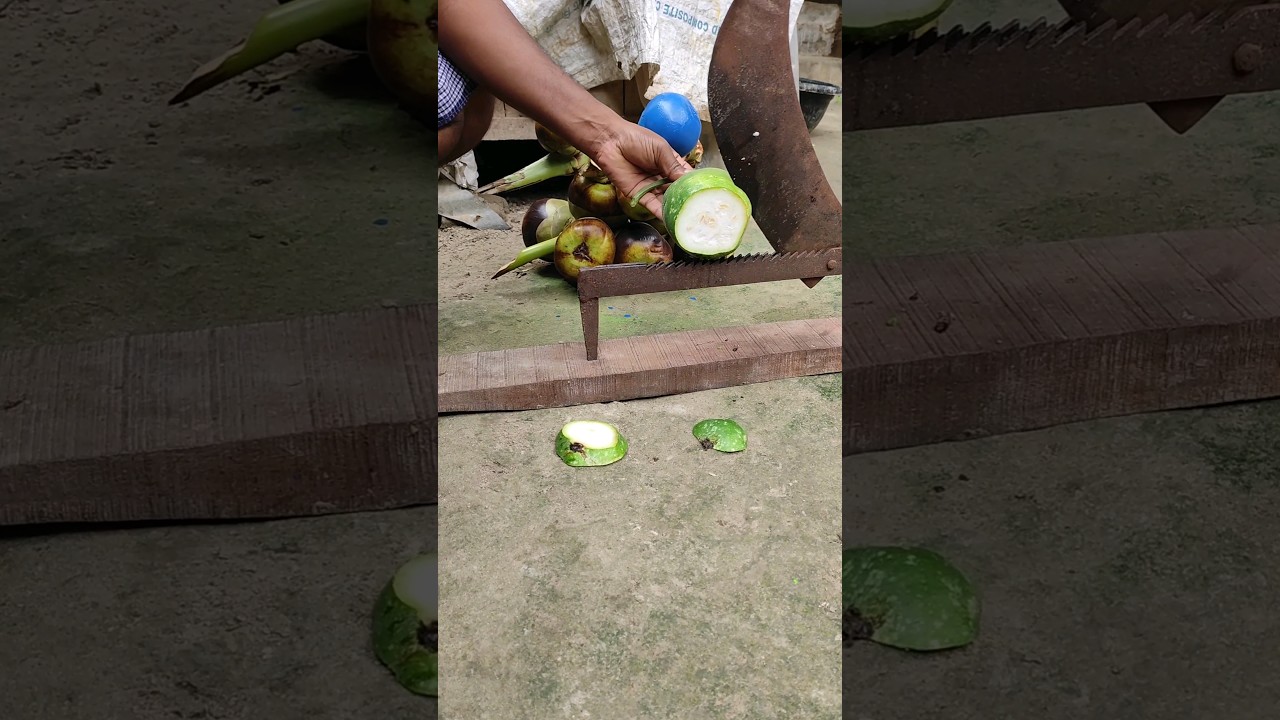 Amizing cucurbit Cutting New Method 