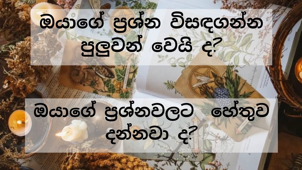 ඔයා ප්‍රශ්නයක නම් ඉන්නෙ මේක බලලා විසඳුම ගන්න🪷 විශ්වයේ කියවීමක් #tarot 