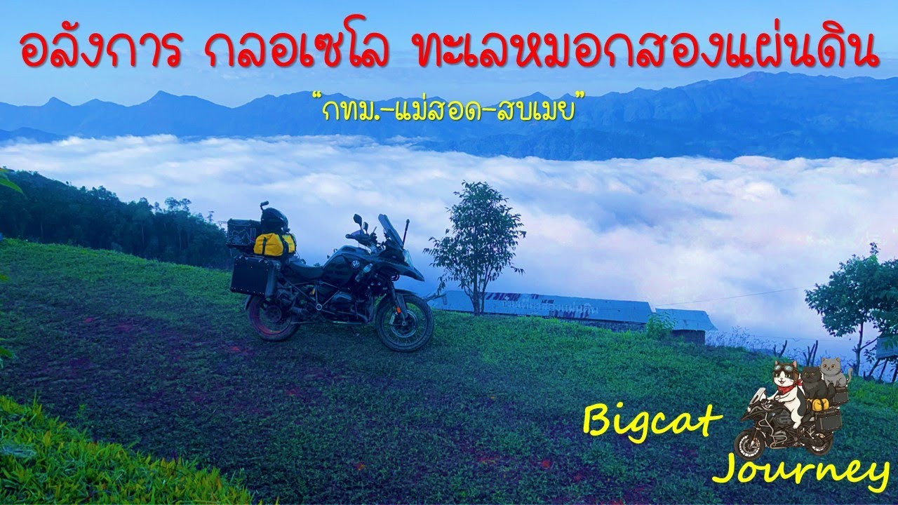 011 อลังการ กลอเซโล ทะเลหมอกสองแผ่นดิน Bigcat Journey แมวพเนจร