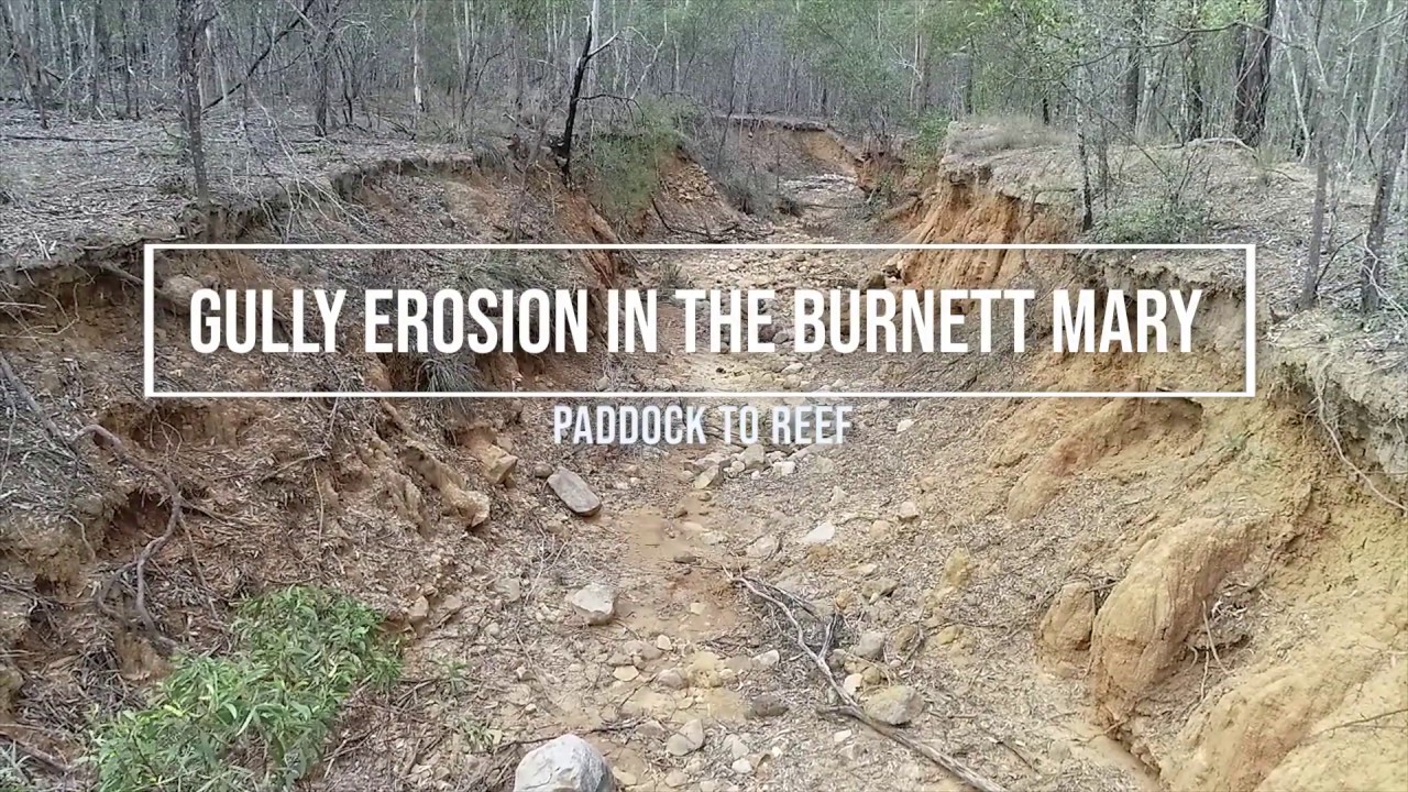Gully Erosion in the Burnett Mary