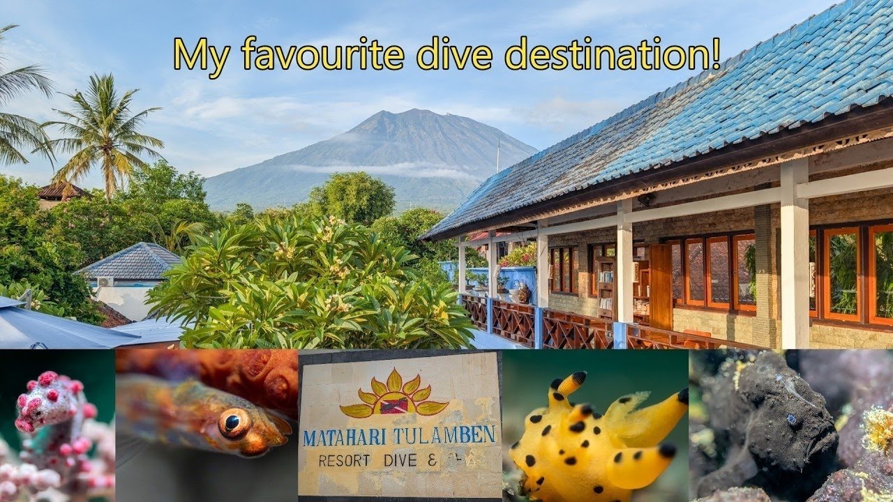 My favourite dive destination!