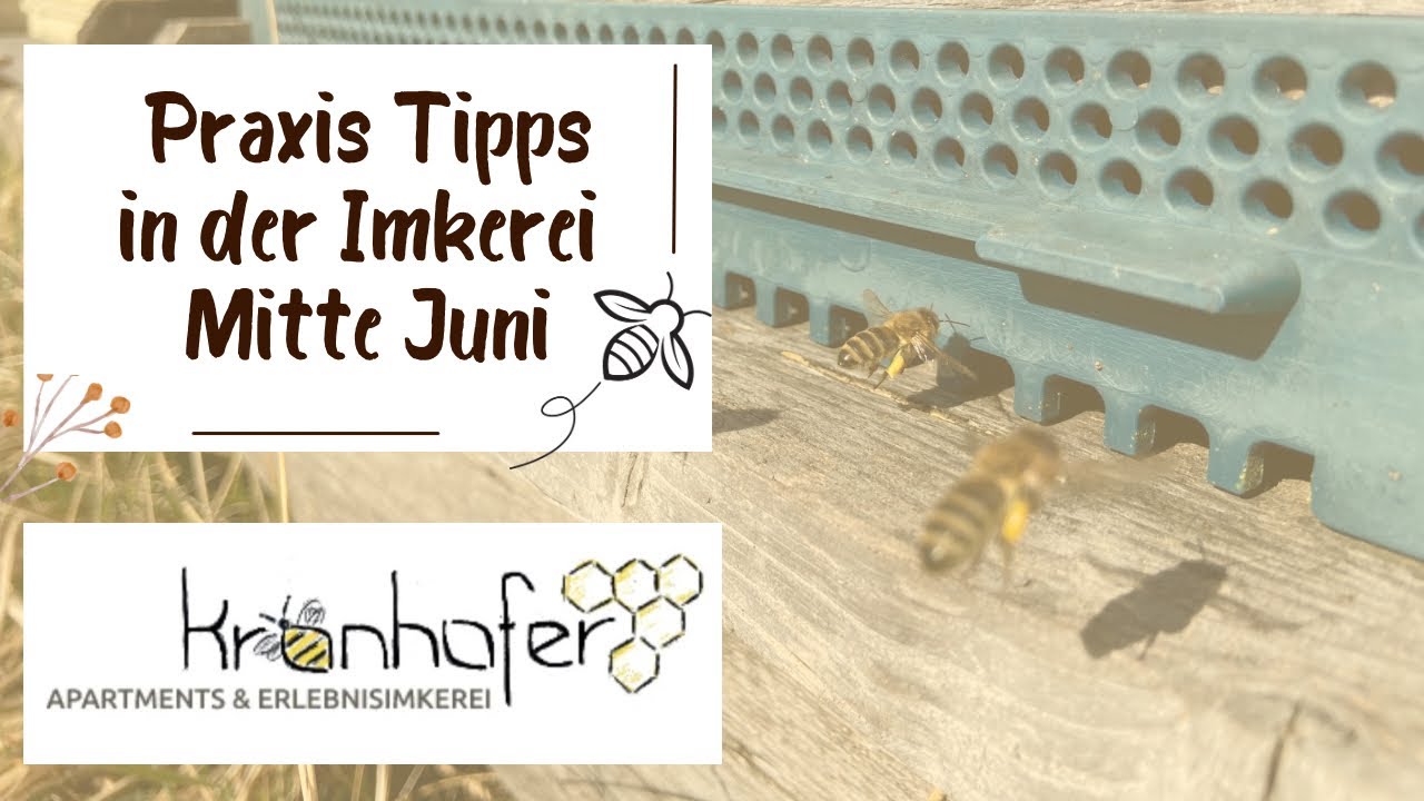 8. Praxis Tipps: Imkern zur Sommersonnenwende - Höhepunkt der Waldtracht