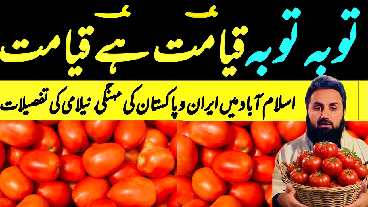 Record Breaking rates of Tomato Prices in Islamabad Market | Pak vs Iran Tomatoes | SabziMandiWala 