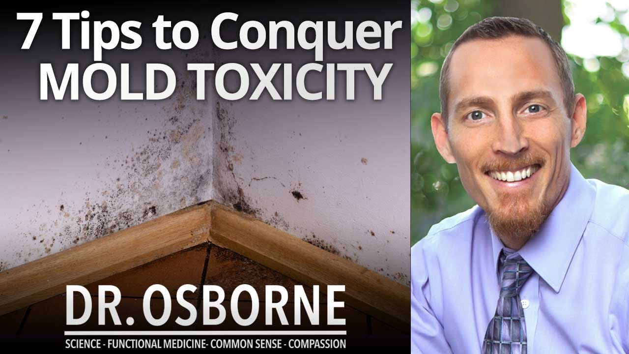 7 Tips to Conquer Mold Toxicity