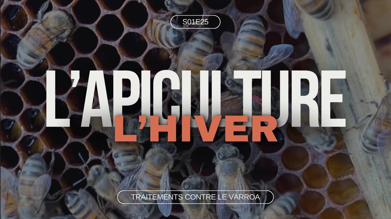 S01E25 - Les traitements d'hiver en apiculture