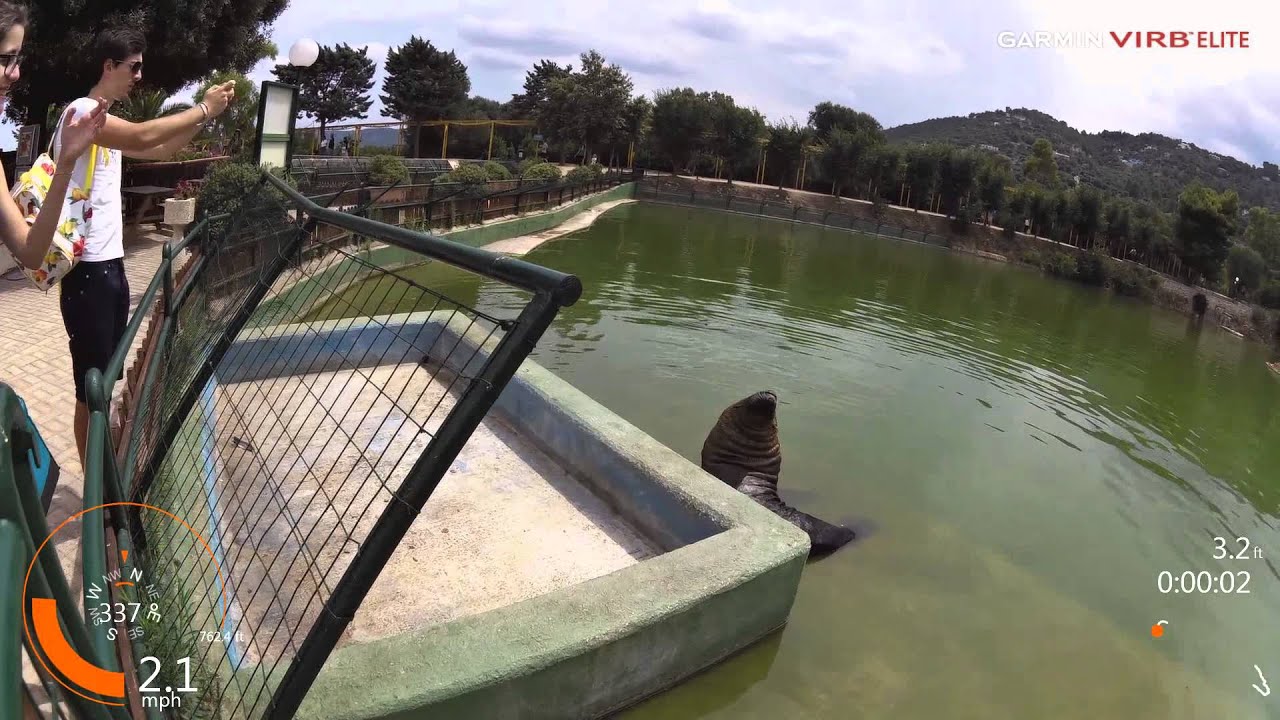 trenino allo zoo di fasano - zoosafari