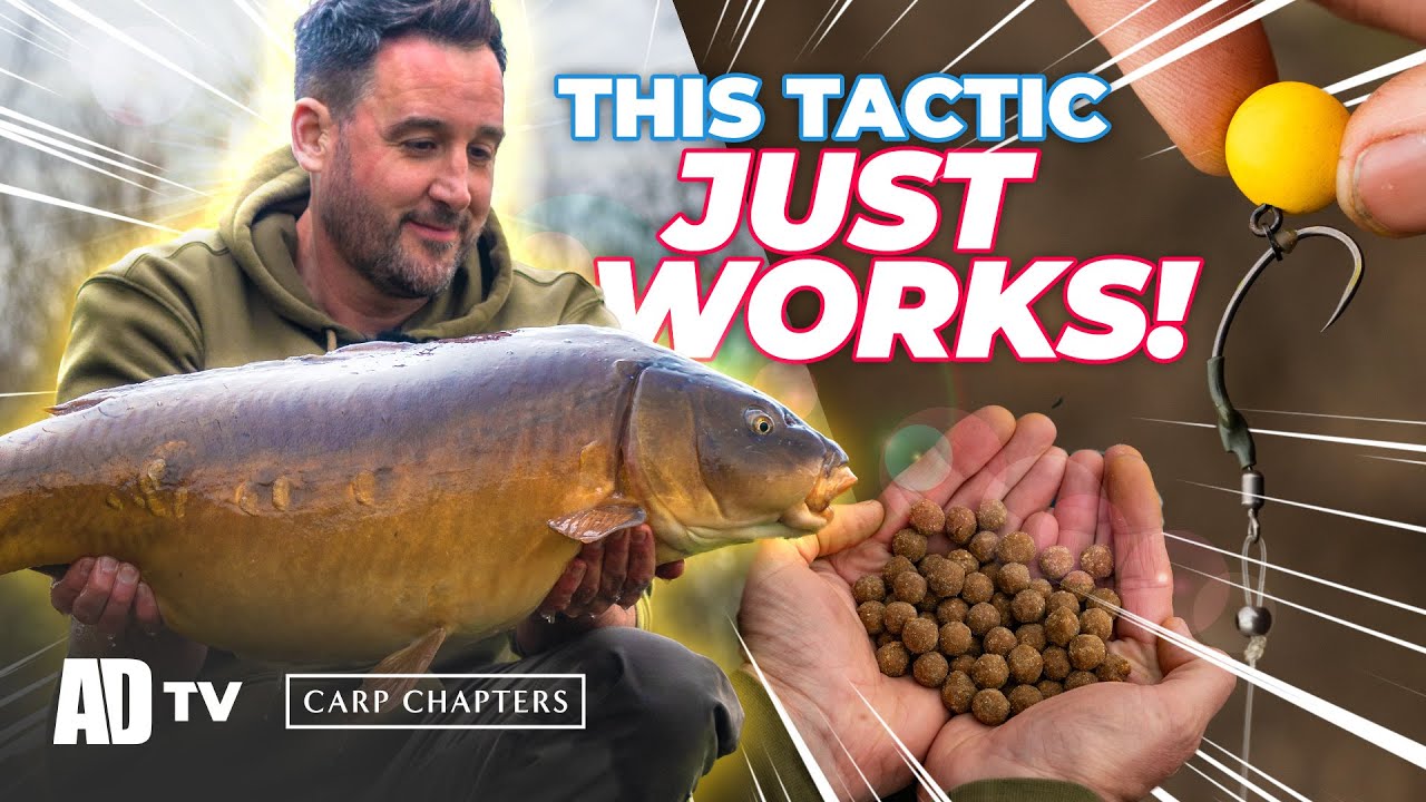 Carp Fishing Winter/Spring Tactics Blasford Hill - Carp Chapters