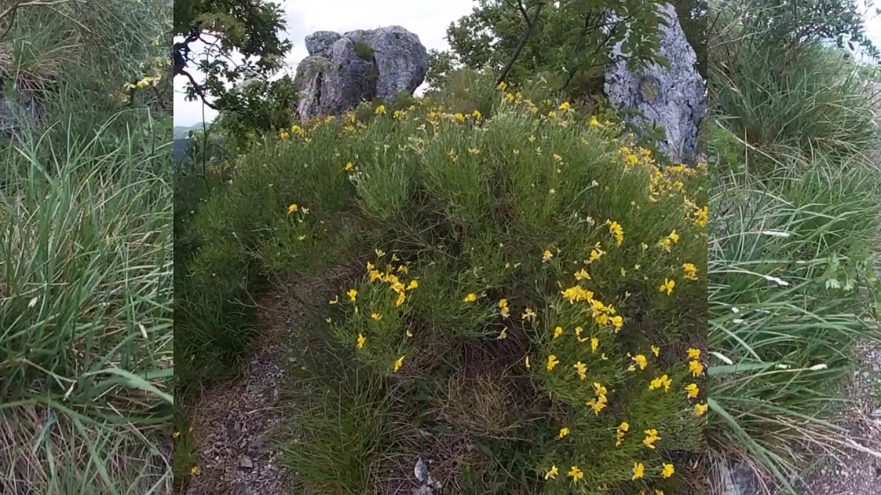 Oštrc lipanj 2020