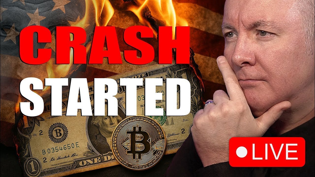 XRP I have what you NEED! Martyn Lucas Investor