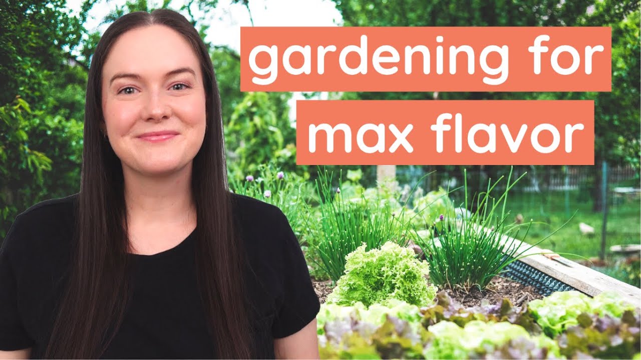 5 Plants to Grow for Tastier Meals! (no matter your growing space)