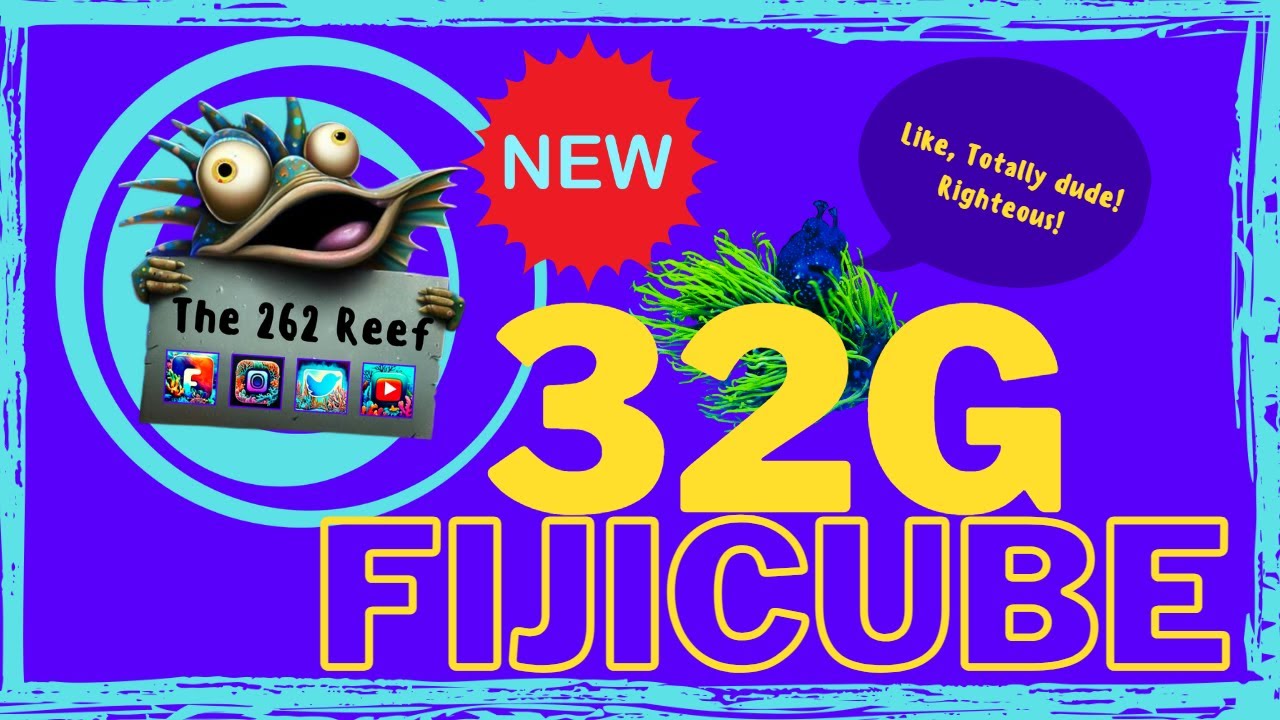 Creating a Beautiful Underwater World: 32 Gallon Fijicube Reef Tank Build! - Marissa's 1st Reef