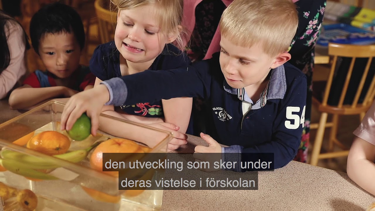 Arbeta i f&ouml;rskolan