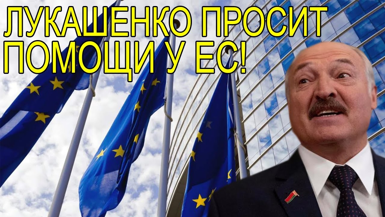 ЛУКАШЕНКО НАКОНЕЦ ОДУМАЛСЯ: БЕЛАРУСЬ ПРОСИТ ПОМОЩИ У ЕС!