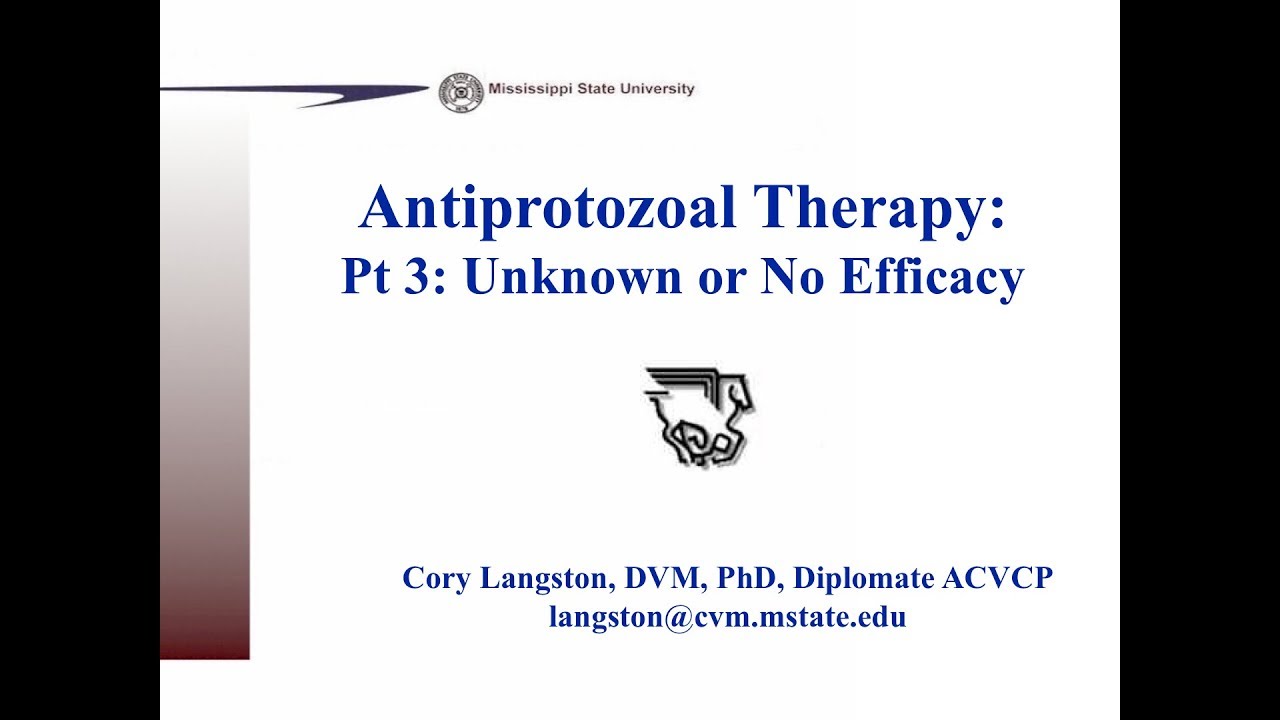 Antiprotozoals, Part 3: Diseases with Unknown or No Therapy