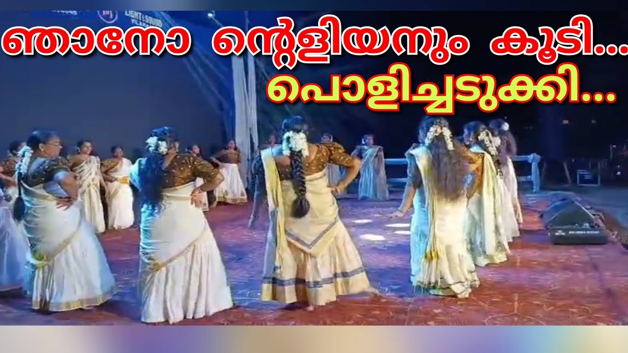 ഞാനോ ന്റെളിയനും കൂടി തകർപ്പൻ കൈകൊട്ടിക്കളി | @bincyakhilanvith_kichu 