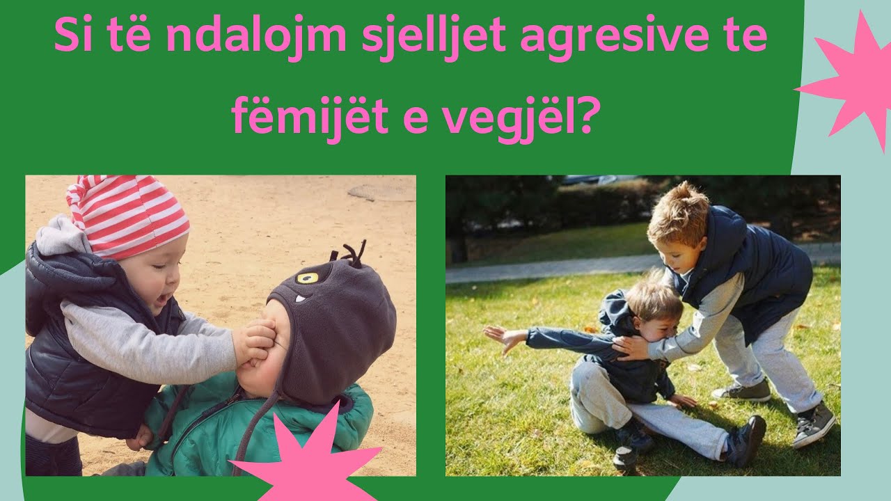 Si te ndalojm sjelljet agresive te femijet e vegjel?