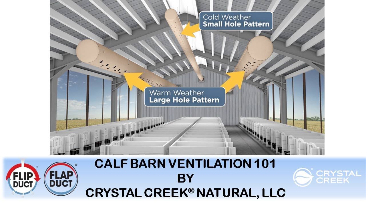 Calf Barn Ventilation 101 by Crystal Creek®