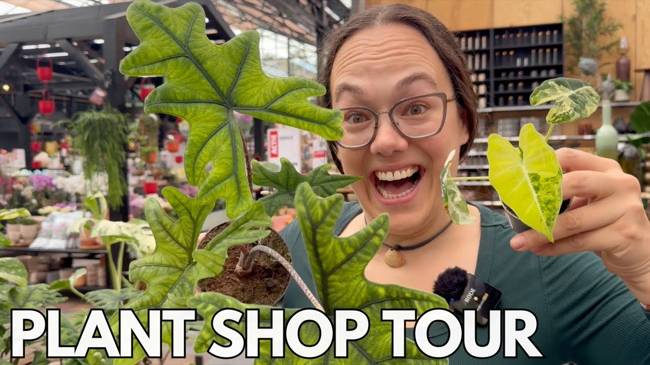 Plant shop tour Intratuin Lisse | Plant with Roos