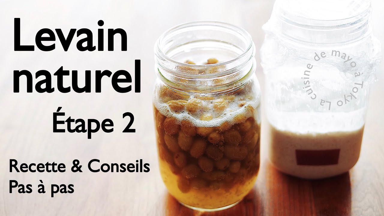 Commet faire son levain maison La suite! / Recette pas à pas/ 100% NATUREL