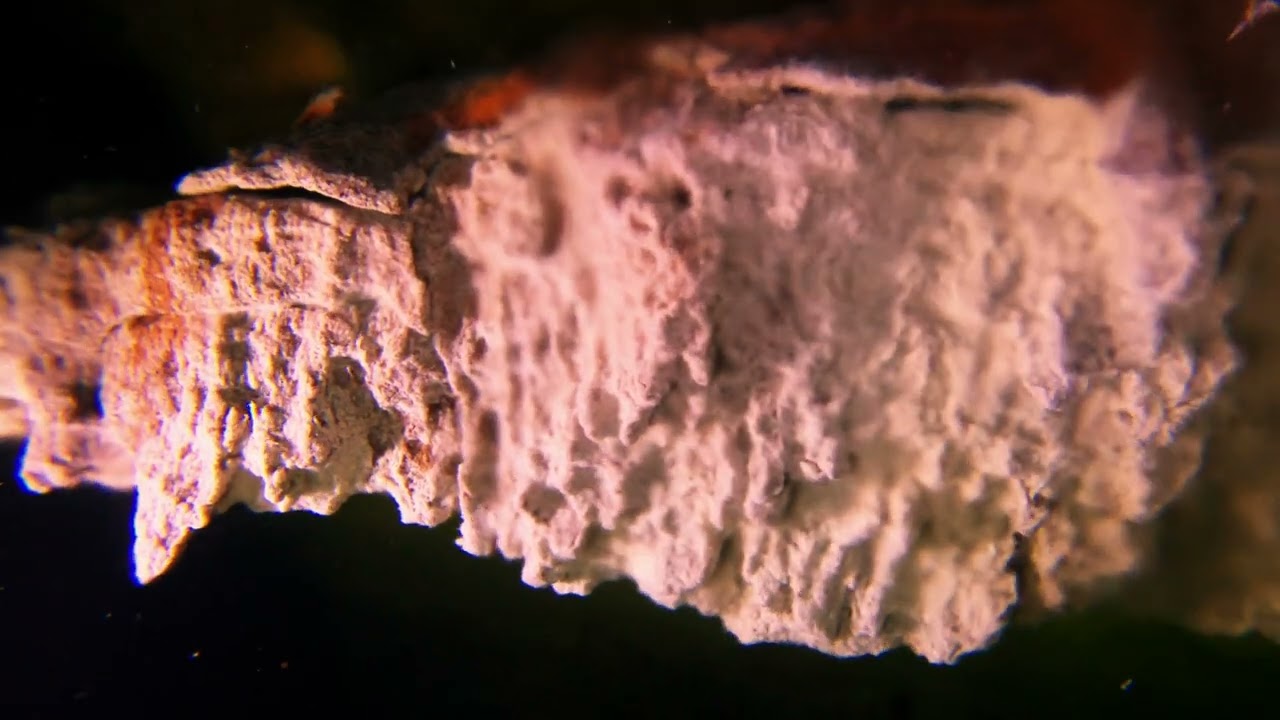 Sulfur Falls area in Cenote Aerolito