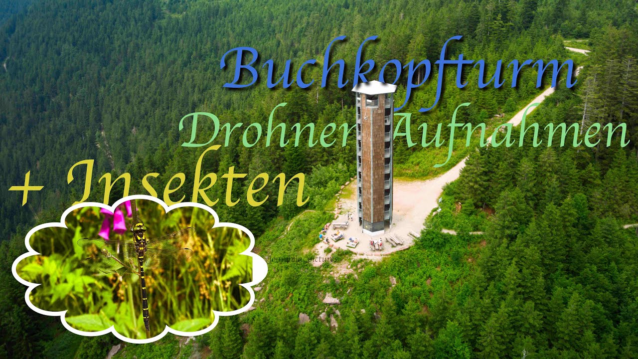 DROHNENAUFNAHMEN BUCHKOPFTURM (Oppenau) + MAKROAUFNAHMEN von INSKEKTEN