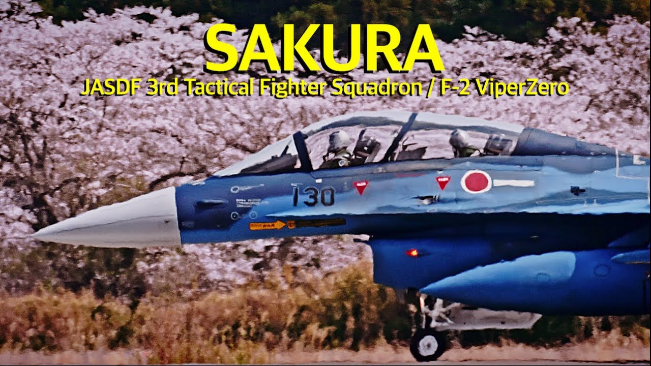 [ASMR 百里基地] 桜の樹とF-2戦闘機　Cherry blossoms in full bloom　JASDF 3SQ F-2 ViperZero