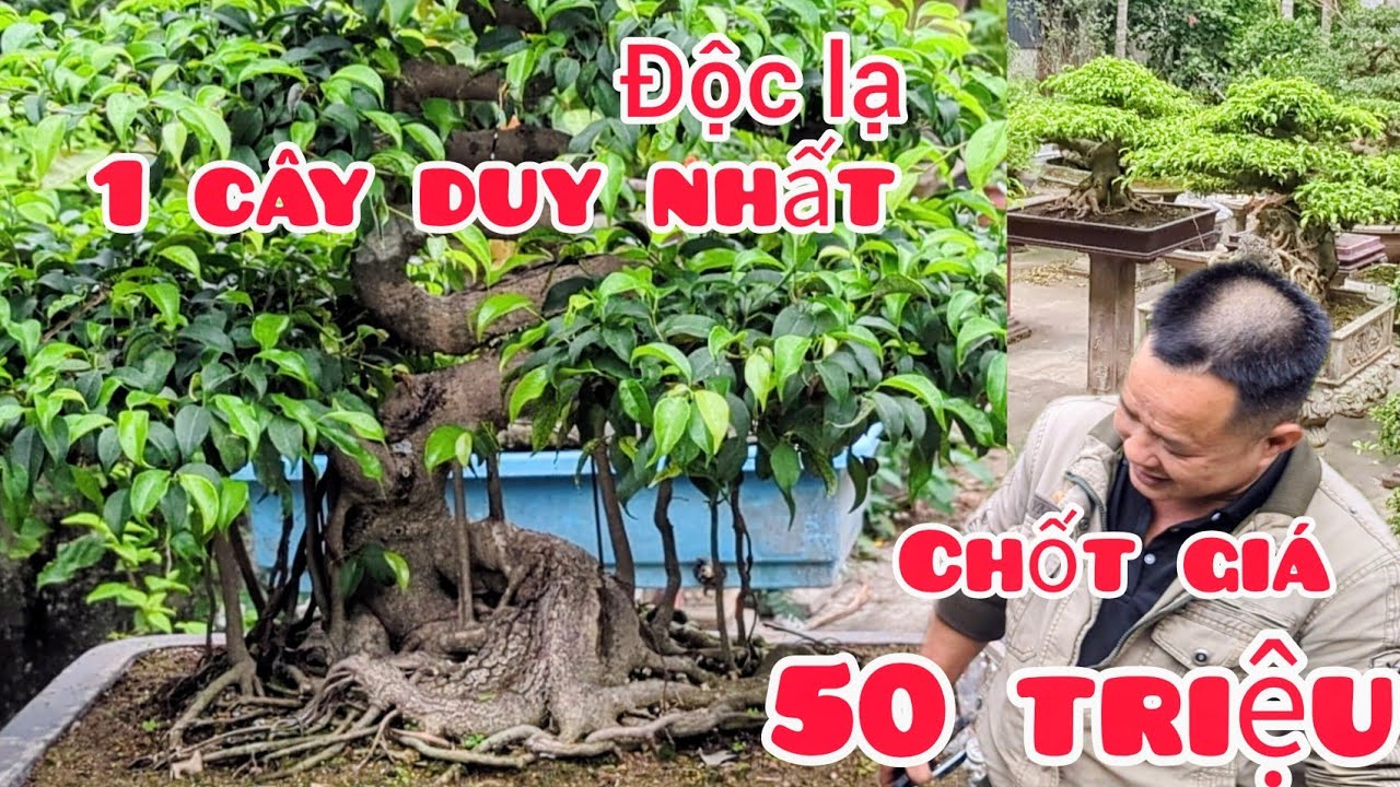 Độc lạ tác phẩm long giáng giá 50 triệu cây duy nhất được nghệ nhân Dần tạo tác cho anh em siêu tầm