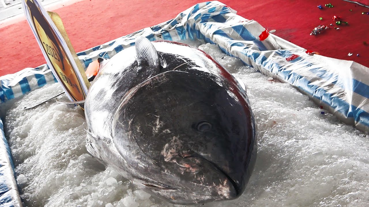 Удивительное умение нарезать голубого тунца, роскошные сашими