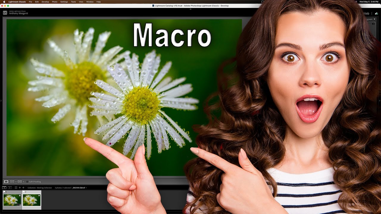 Sharpen AI on Noisy Macros