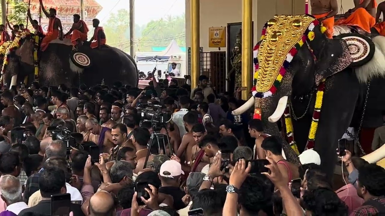 ഉത്രാളി - എങ്കേക്കാട് പുറപ്പാട്   #elephant shorts #pooram #tour  #vedikett   #fireworks