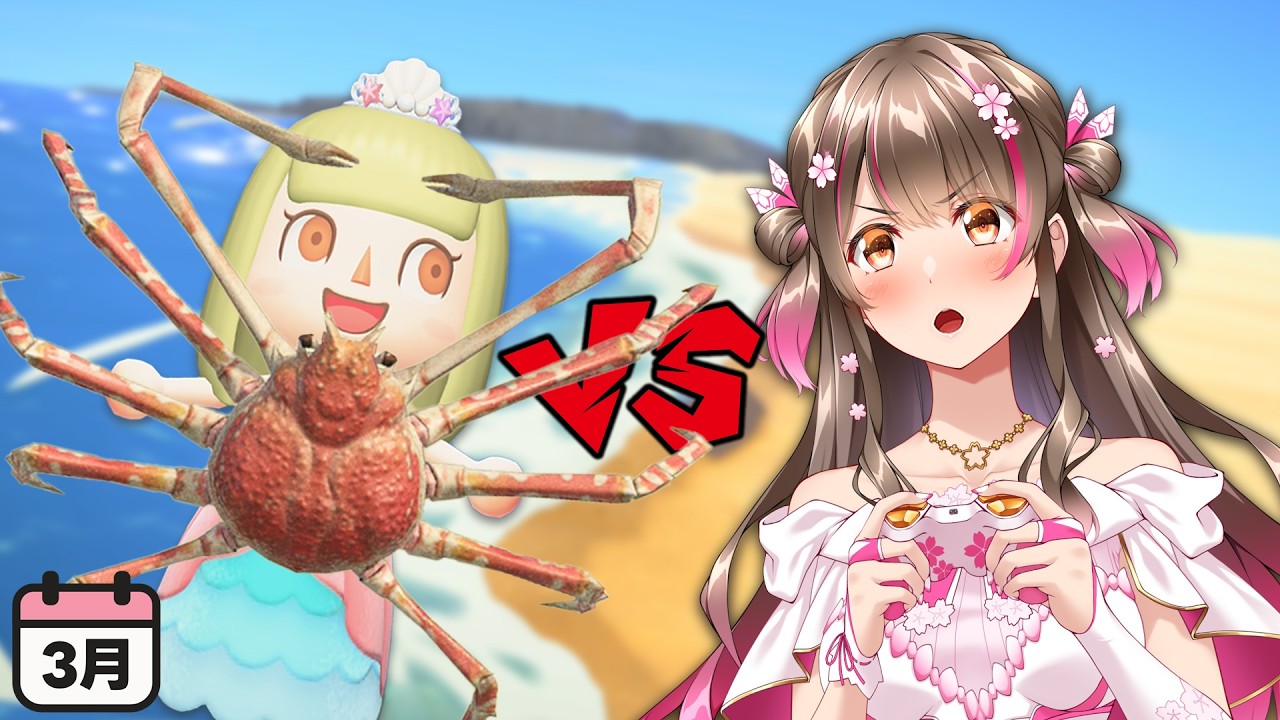 【あつ森】難関タカアシガニ登場！3月の海の幸を全て入手するまで終われません【あつまれどうぶつの森】