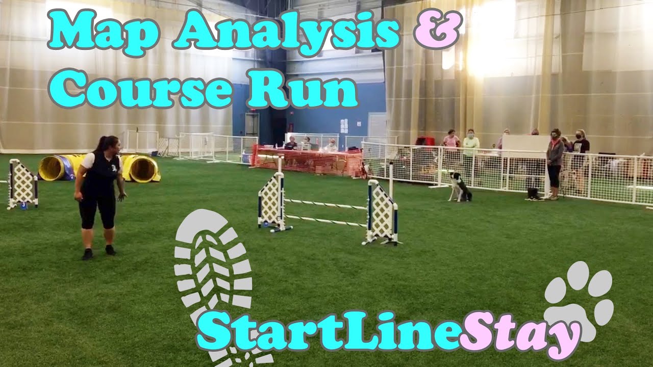 Agility Course Map BREAKDOWN | Step by Step!