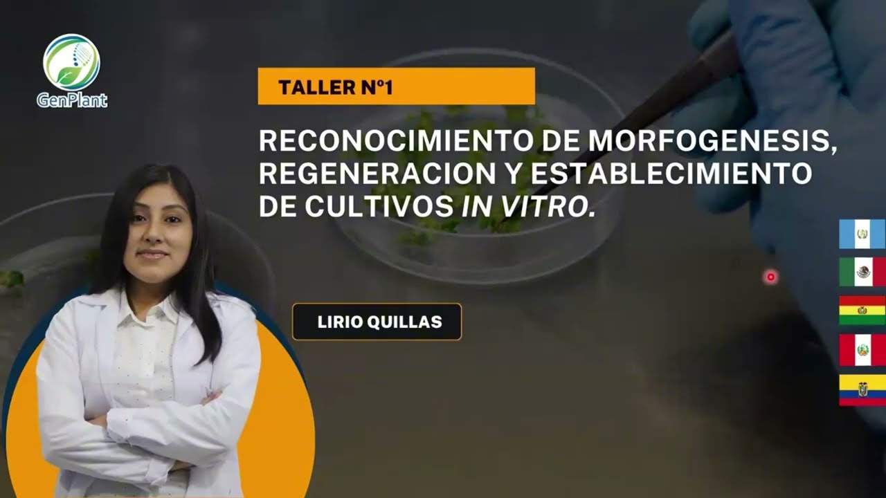TALLER: RECONOCIMIENTO DE MORFOGENESIS, REGENERACION Y ESTABLECIMIENTO- PARTE 3-PARTE 1