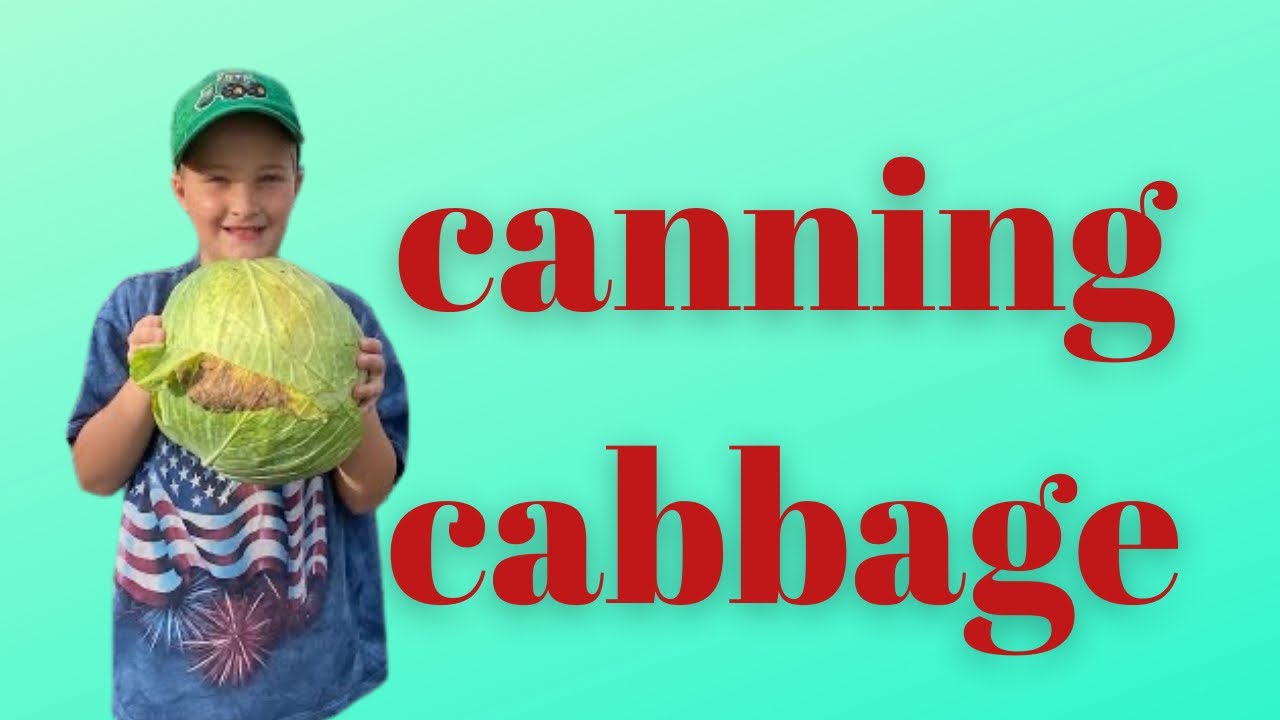 ReCanning Sauerkraut #RebelCanners