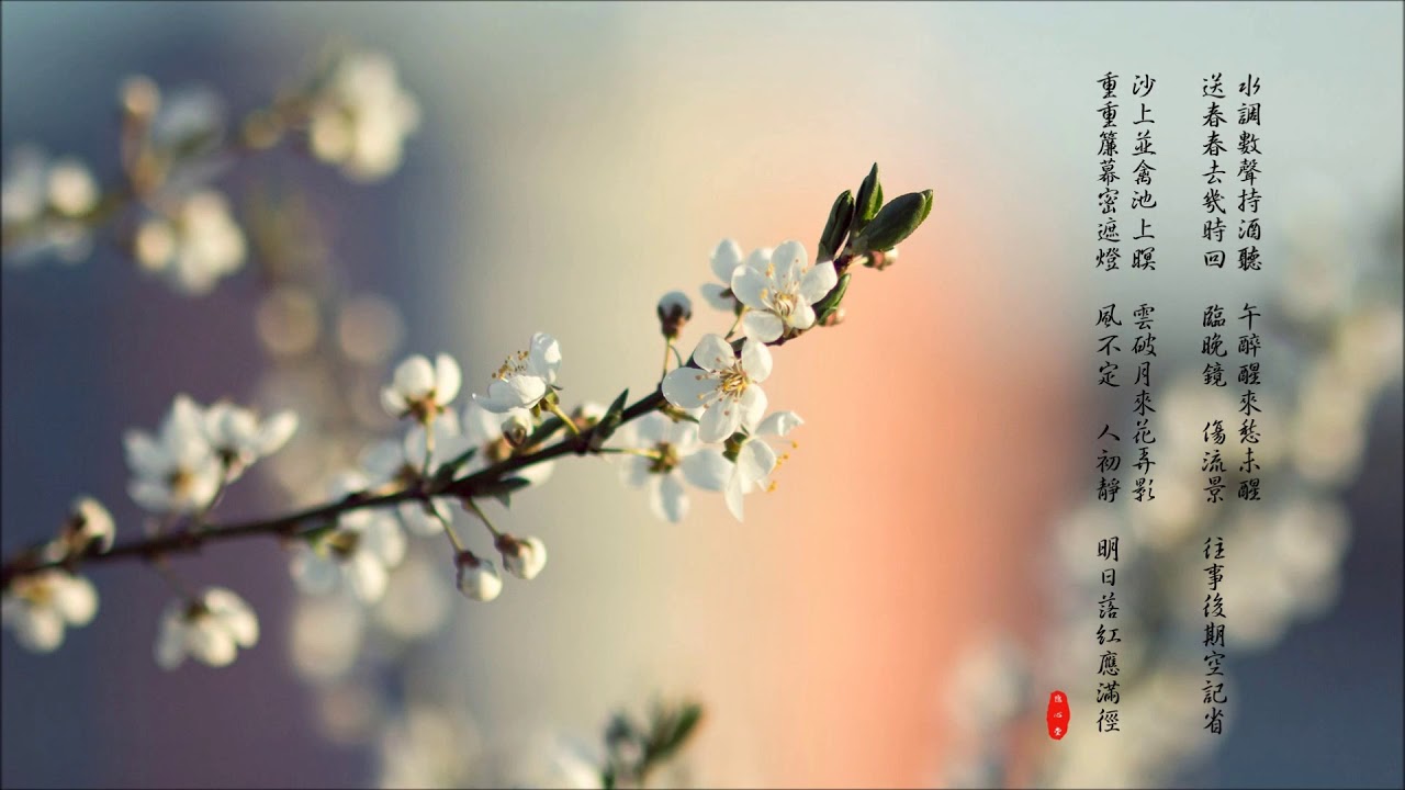 【天仙子】 張先