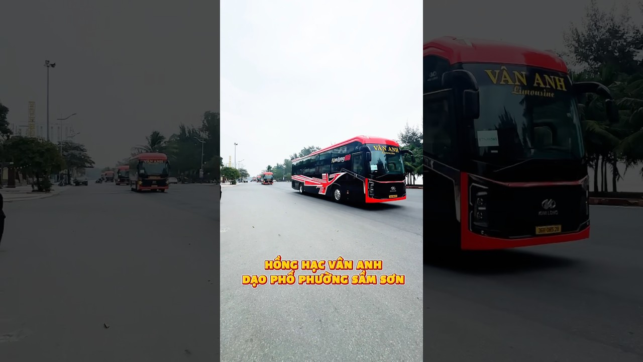 Hồng Hạc V&acirc;n Anh dạo bước tại th&agrave;nh phố biển Sầm Sơn xinh đẹp #nhaxevananh  #xegiuongnam #xebacnam