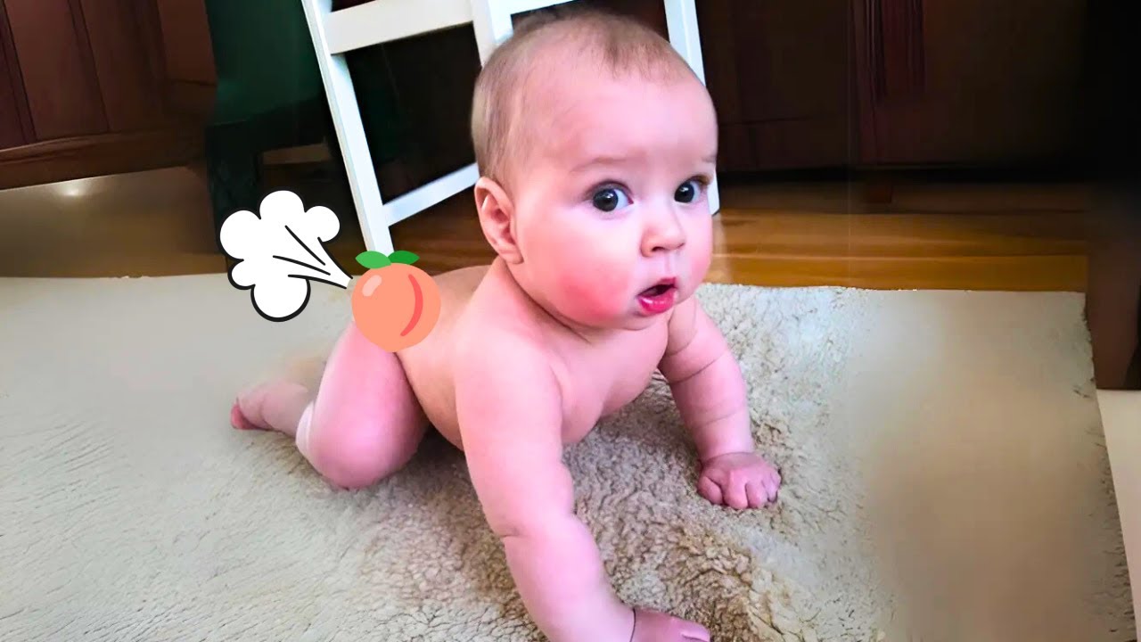 Funny Baby Videos Compilation - Hilarious Baby Farts Moments