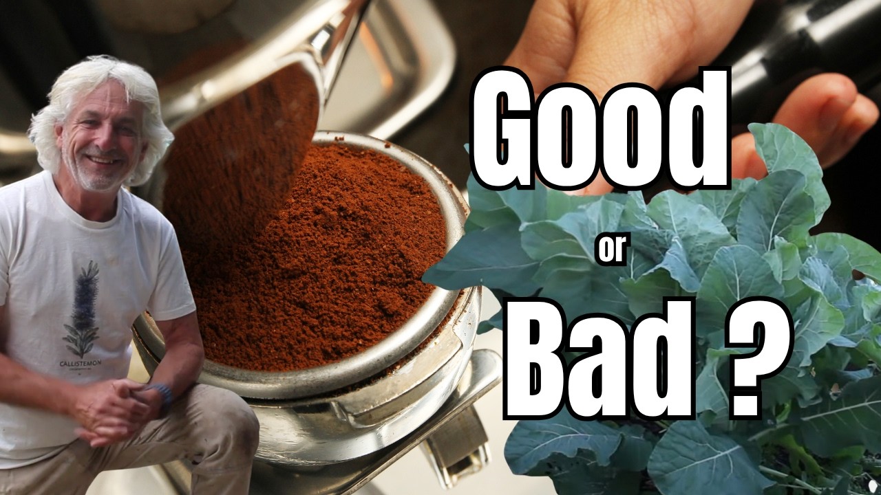 Never Throw Away Coffee Grounds After Watching This