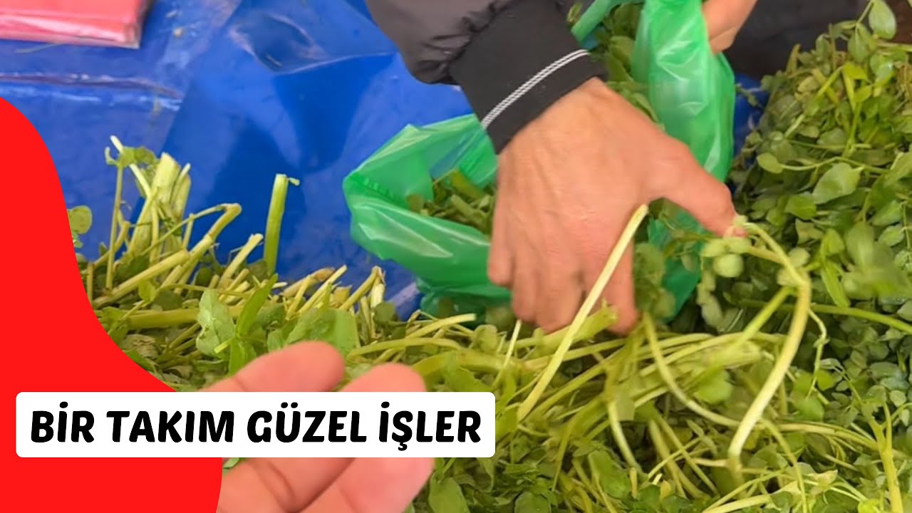 Bugün bir takım güzel işler yapalım dedik
